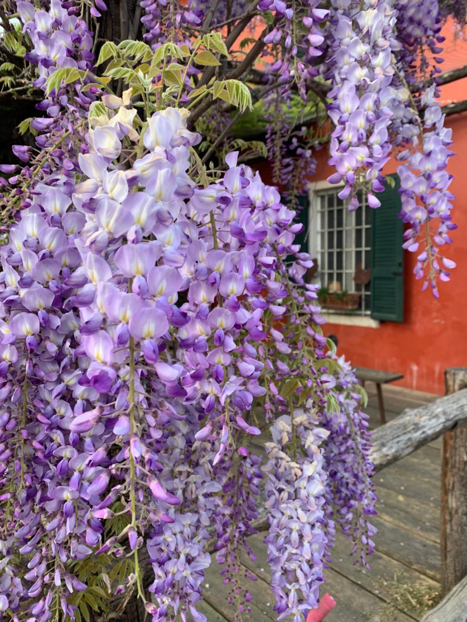 Villa Fattoria Amelia Santa Caterina  Exterior foto
